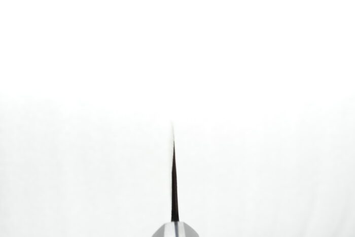 Ishizuchi Kurouchi Aogami 2 Gyuto 240mm - Image 4