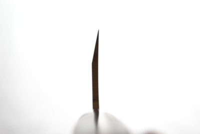 Sakai Takayuki Inox Western handle Deba 165mm - Image 3