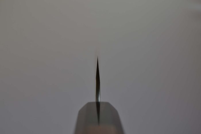 Nigara Hamono Tsuchime/Migaki SG2 Sujihiki 255mm - Image 7