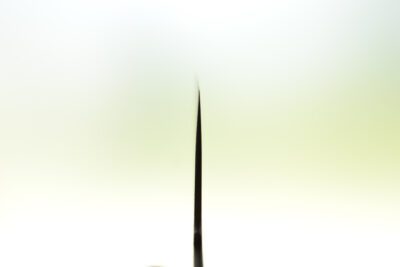 Nigara Anmon Kiritsuke 240mm - Blade only - Image 7