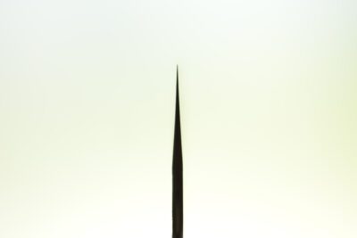 Nigara Tscuchime / Migaki Kiritsuke 240mm - Blade - Image 2