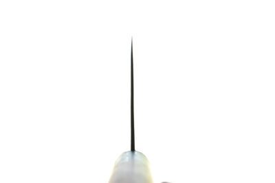 Daovua Leaf Spring Piranha Cleaver 185mm - Image 5