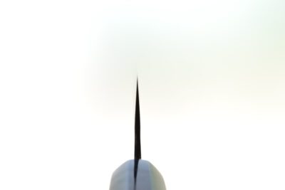 Wakui Tsuchime Gyuto 240mm - Image 8