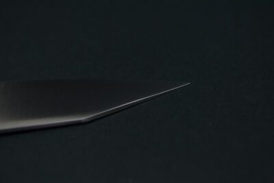 Hatsukokoro Hayabusa Ginsan Kiritsuke 210 mm - Image 10