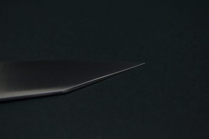 Hatsukokoro Hayabusa Ginsan Kiritsuke 210 mm - Image 10