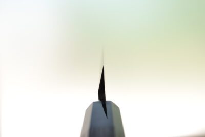 Hatsukokoro Shirasagi Yanagiba 300mm - Image 6