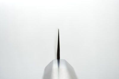 Hokiyama Tosaichi Shadow Sujihiki 270mm - Image 9