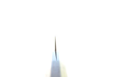 Hatsukokoro Hayabusa SG2 Petty 150mm - Image 7