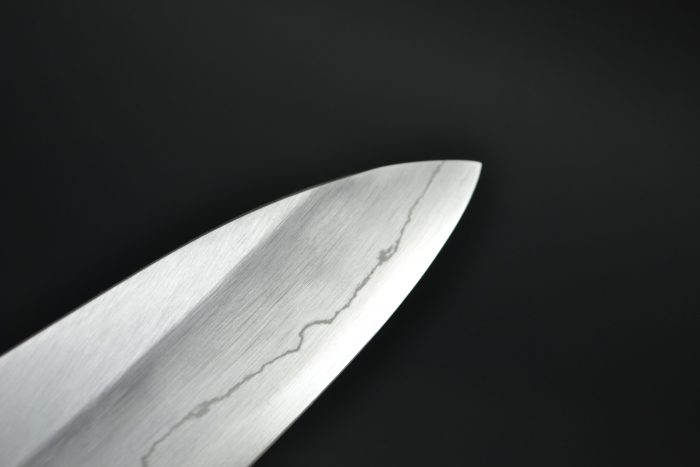 Hatsukokoro / Nakagawa Ginsan Gyuto 210mm - Image 4