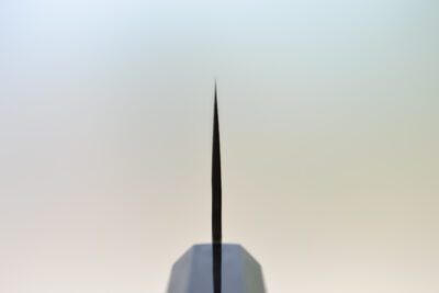 Nigara VG-10 Damascus Tsuchime Kiritsuke 210mm - Image 4