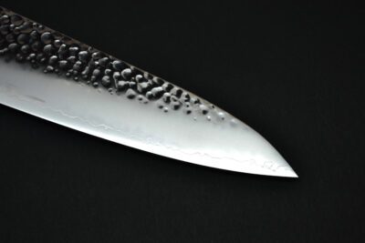 Hatsukokoro Hayabusa VG-10 Gyuto 210mm - Image 9