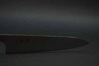 Hatsukokoro Hayabusa VG-10 Gyuto 210mm - Image 4