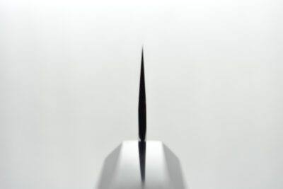 Nigara Tsuchime / Kurouchi Sakimaru Sujihiki 270mm - Image 8