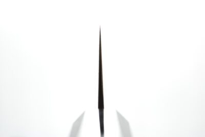 Hatsukokoro Hayabusa SG-2 Gyuto 210mm - Image 3