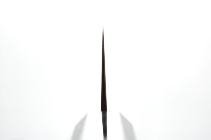 Hatsukokoro Hayabusa SG-2 Gyuto 210mm - Image 3
