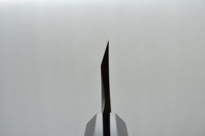 Hatsukokoro Shirasagi Deba 165mm - Image 4