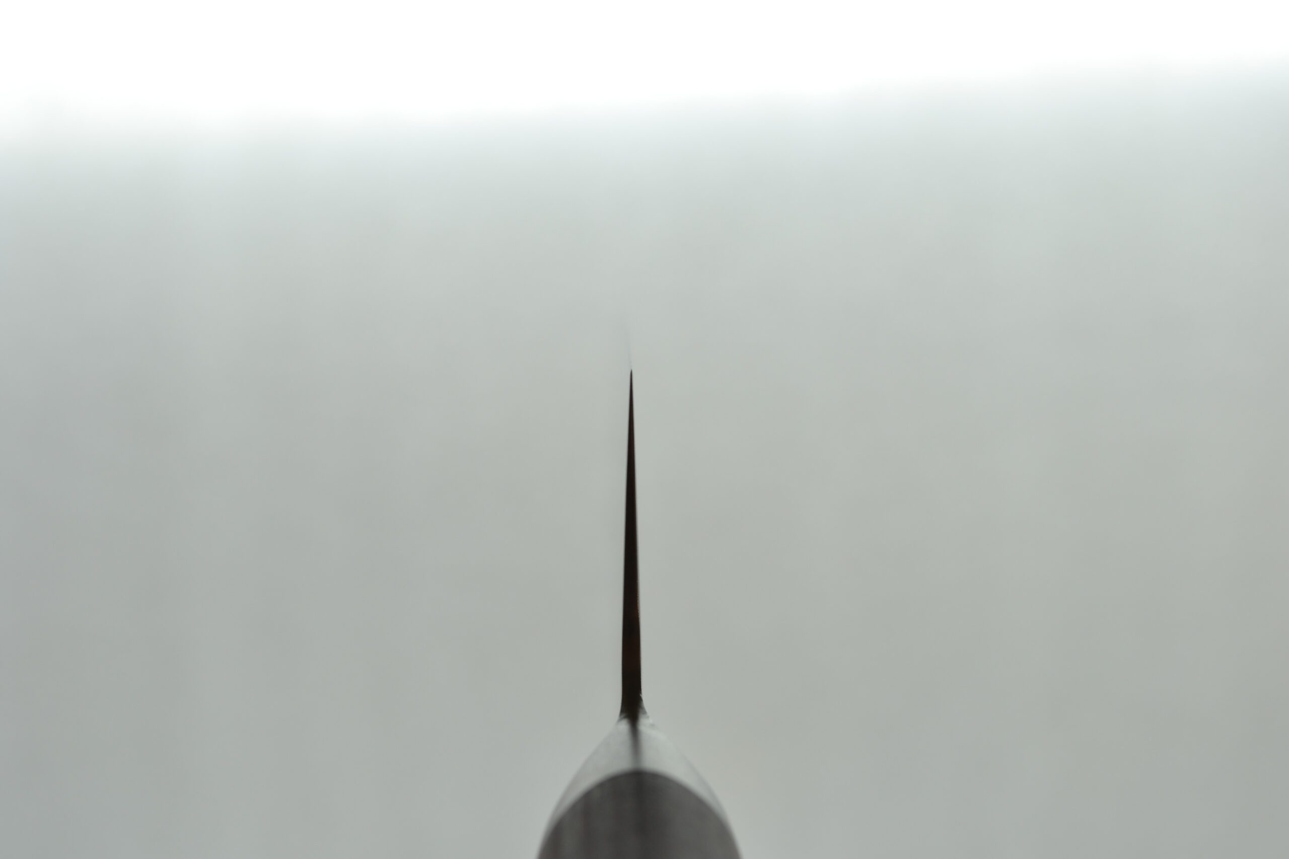 Shizu Hamono Miyako Gyuto 210mm - Image 3