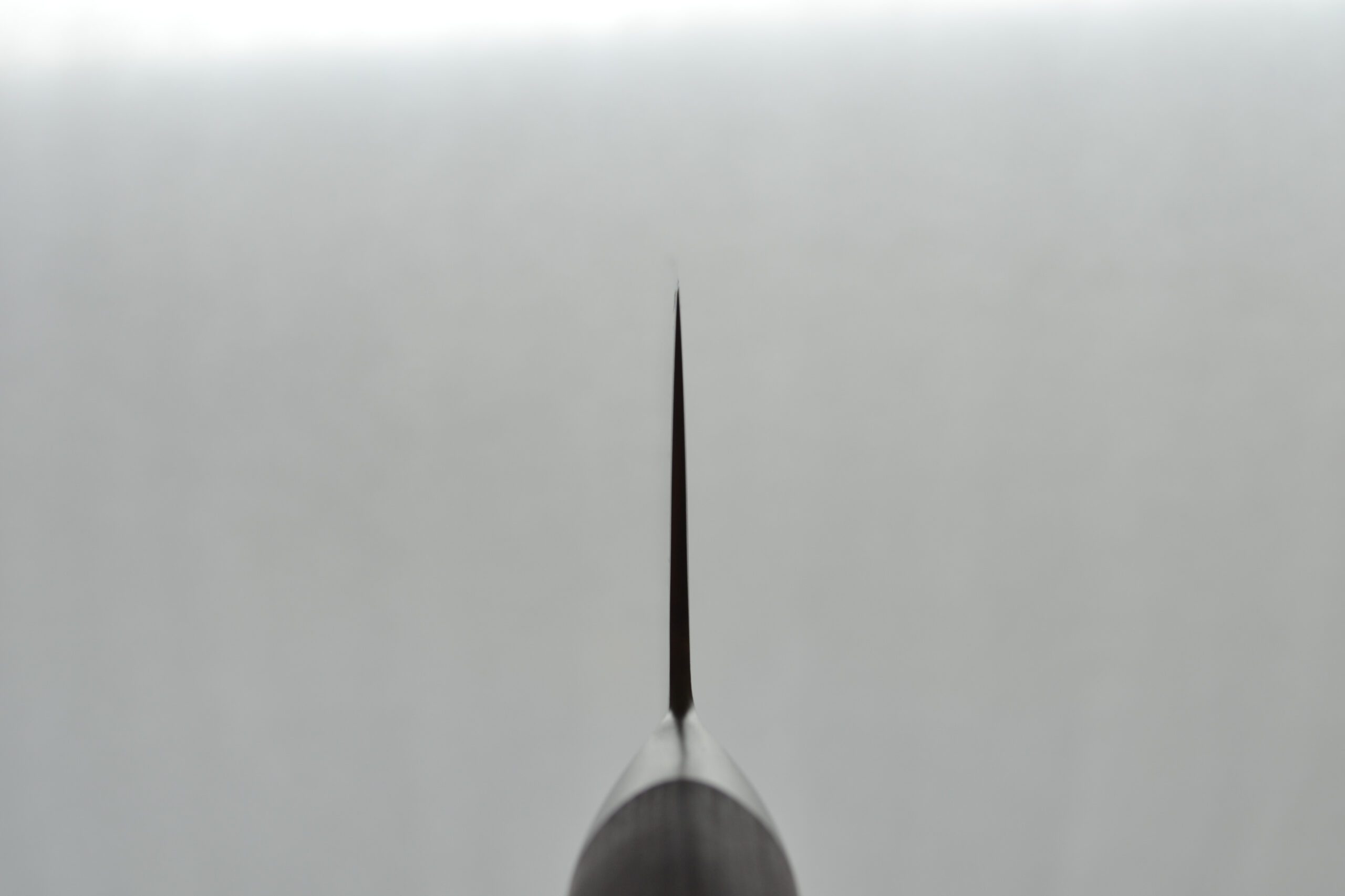 Shizu Hamono Miyako Gyuto 240mm - Image 5