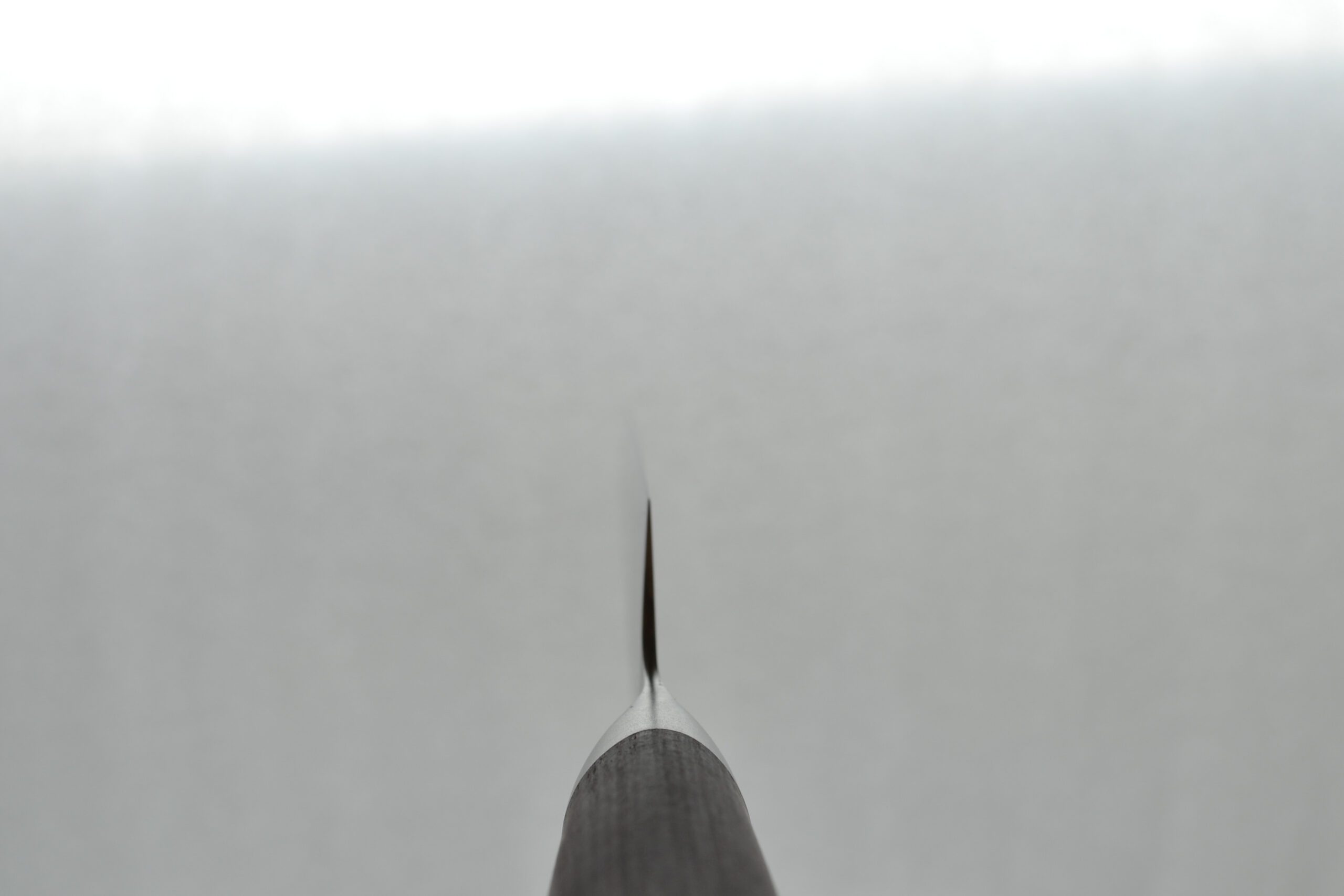 Shizu Hamono Miyako Sujihiki 240mm - Image 2