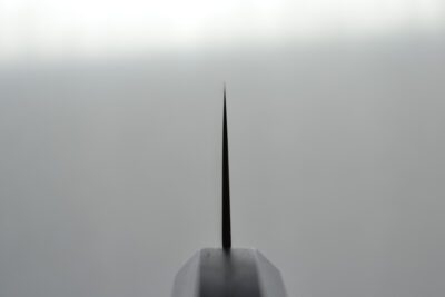 Hatsukokoro Kajin Gyuto 210mm - Image 6
