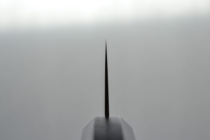 Hatsukokoro Kajin Gyuto 210mm - Image 6