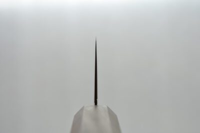 Hatsukokoro Ryuhyo Gyuto 210 mm - Image 8