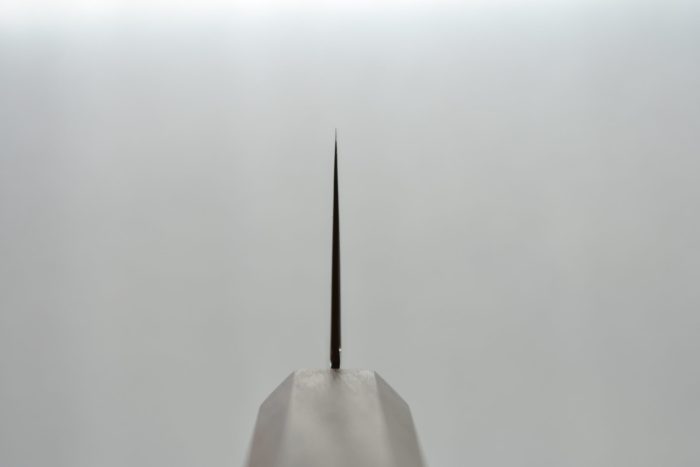 Hatsukokoro Ryuhyo Gyuto 210 mm - Image 8