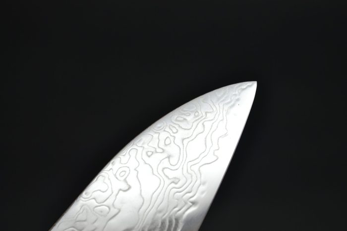 Hatsukokoro Ryuhyo Gyuto 240 mm - Image 4
