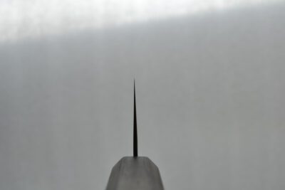 Hatsukokoro Ginrei Gyuto 210mm - Image 6